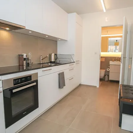 Stylish With Free Baselcard Apartment Basel