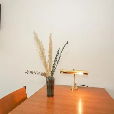 Apartment Stylish With Free Baselcard Basel